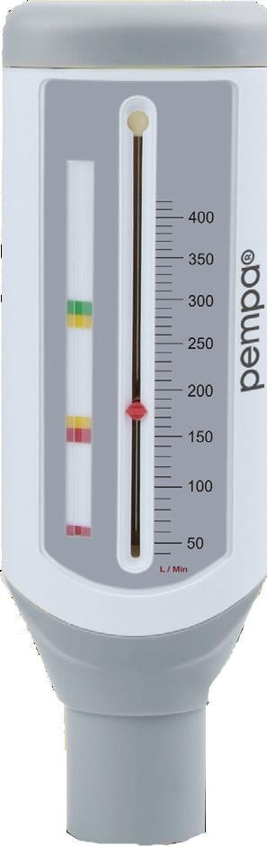 Termometre - Termometru PEMPA, Debitmetru de varf pentru copii PF100C