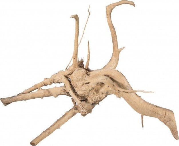 Terra Natura Bog Root S RED MOOR 15-20cm