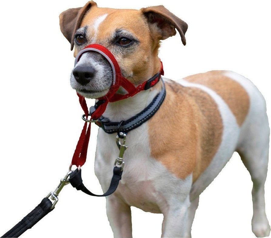 Compania Animalelor Coliere de dresaj pentru câini Company of Animals Halti Genuine Muzzle (46-62 cm)
