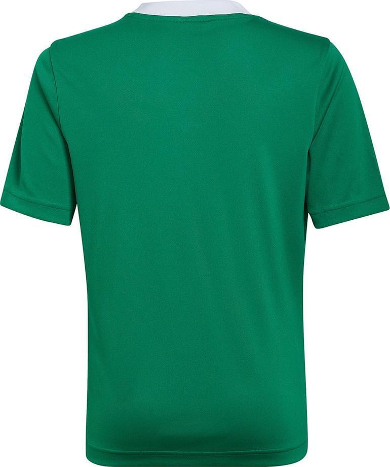 Tricou Adidas adidas ENTRADA 22 JSY Y HI2126 HI2126 verde 140 cm