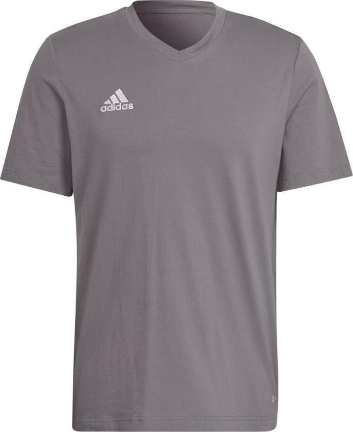 Tricou Adidas pentru bărbați Entrada 22 Tee gri HC0449. S