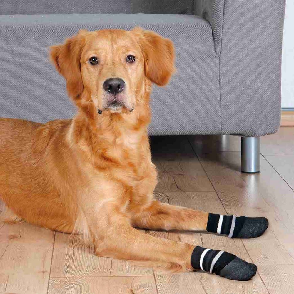 Trixie Șosete antiderapante pentru câini Trixie pereche L-XL universal