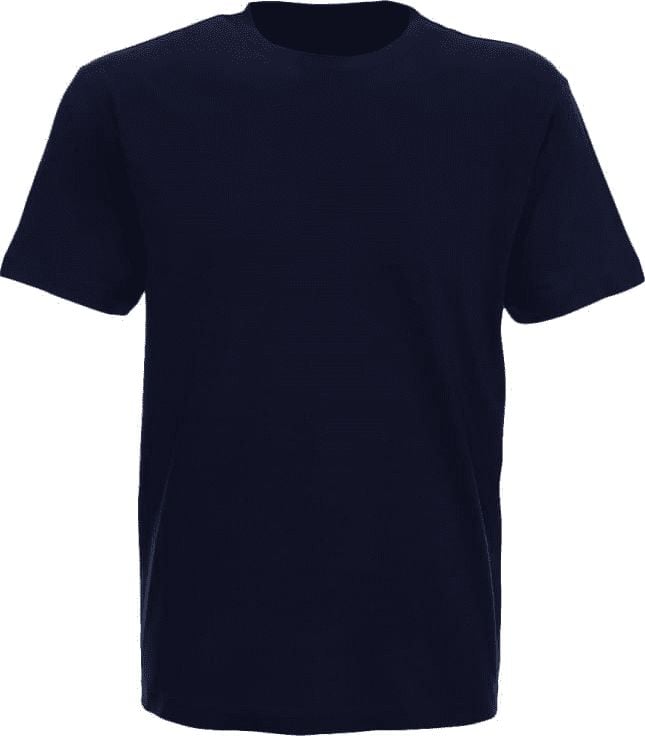 T-shirt DANIEL BLUE 2710 XL