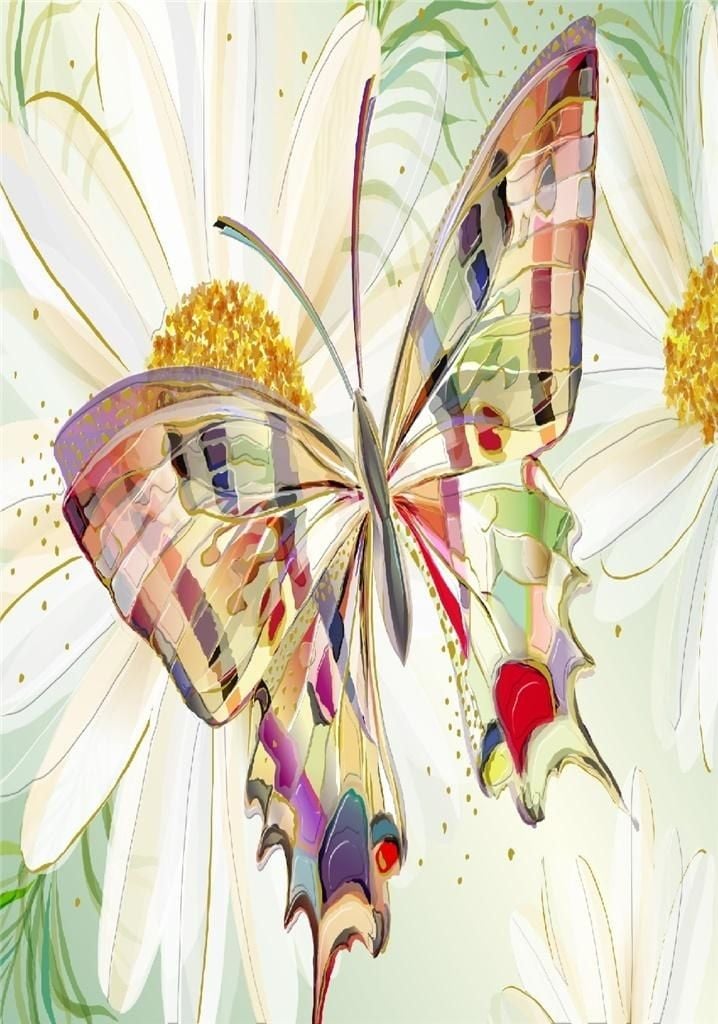 Card Turnowsky B6 + plic flori fluture