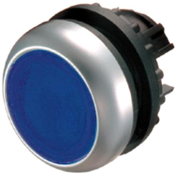 Turtită M22-NRD-B albastru backlit - 216952