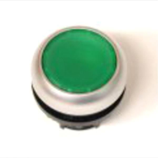 Turtită verde M22-D-G - 216596