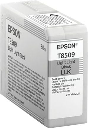 Cartuș de cerneală Epson UltraChromeHD Light Light Black (C13T850900)