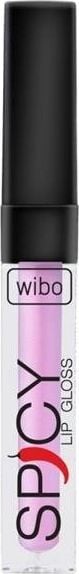 Wibo WIBO_Spicy Lip Gloss luciu de buze 19 3ml