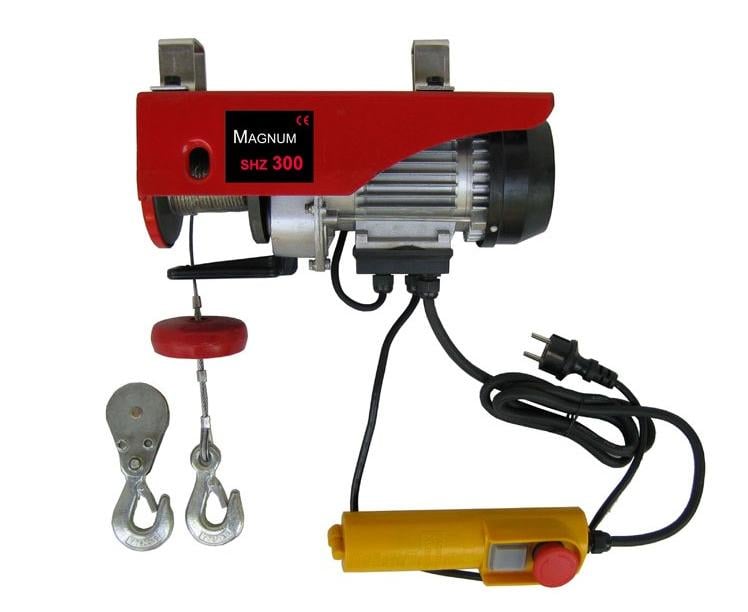 Winch de ridicare 300 kg 550W (SHZ300)