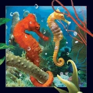 Merită păstrat Magnet 3D Seahorse