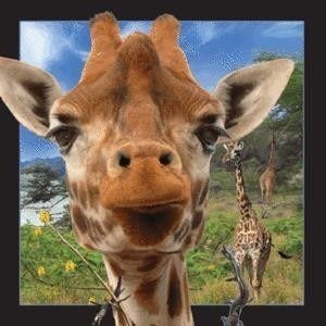 Worth Keeping Magnet 3D Girafa (182628)