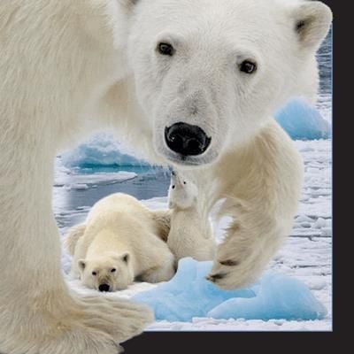 Carte poștală 3D Worth-Keeping Ursul polar cu pui - Worth Keeping