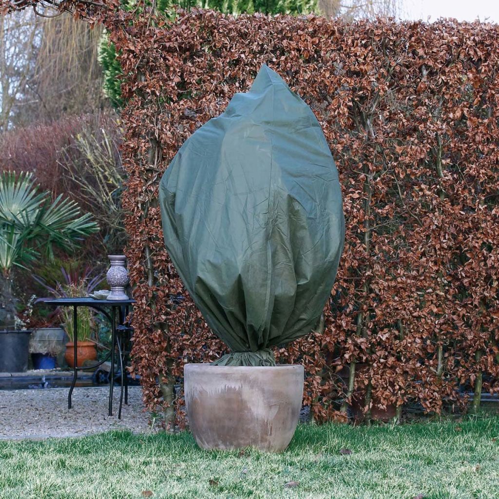Nature Husă anti-ingheț din fleece, verde, 2,5 x 3 m, 70 g/m²