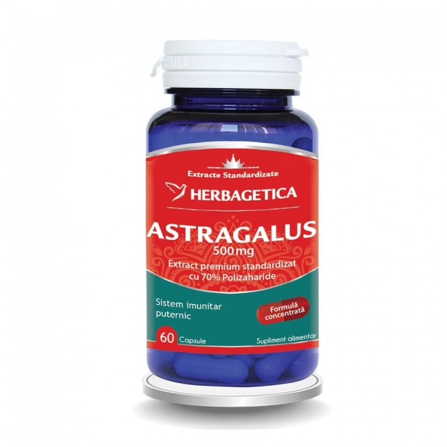 Vitamine si suplimente - Astragalus 500 mg, 60 capsule, Herbagetica , nordpharm.ro