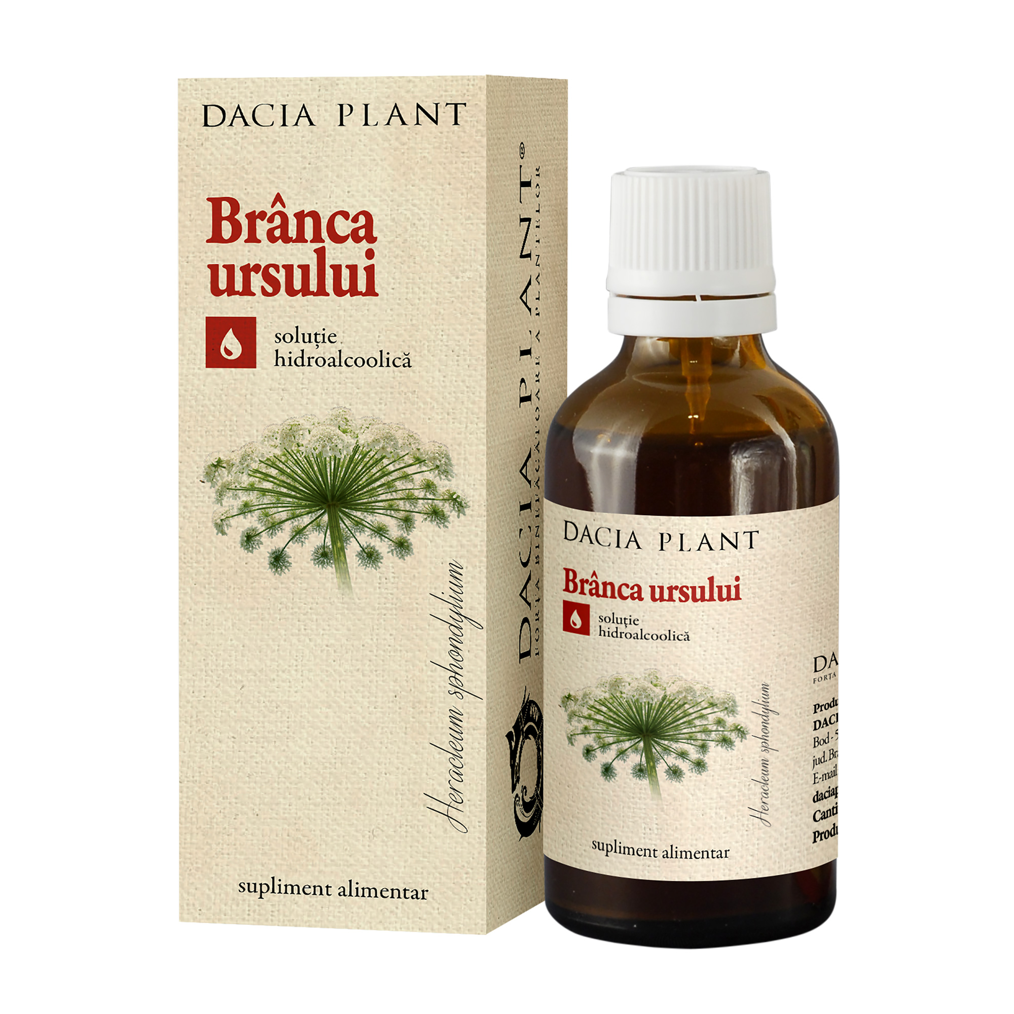 Extracte, tincturi - Tinctura de Branca Ursului, 50 ml, Dacia Plant, nordpharm.ro