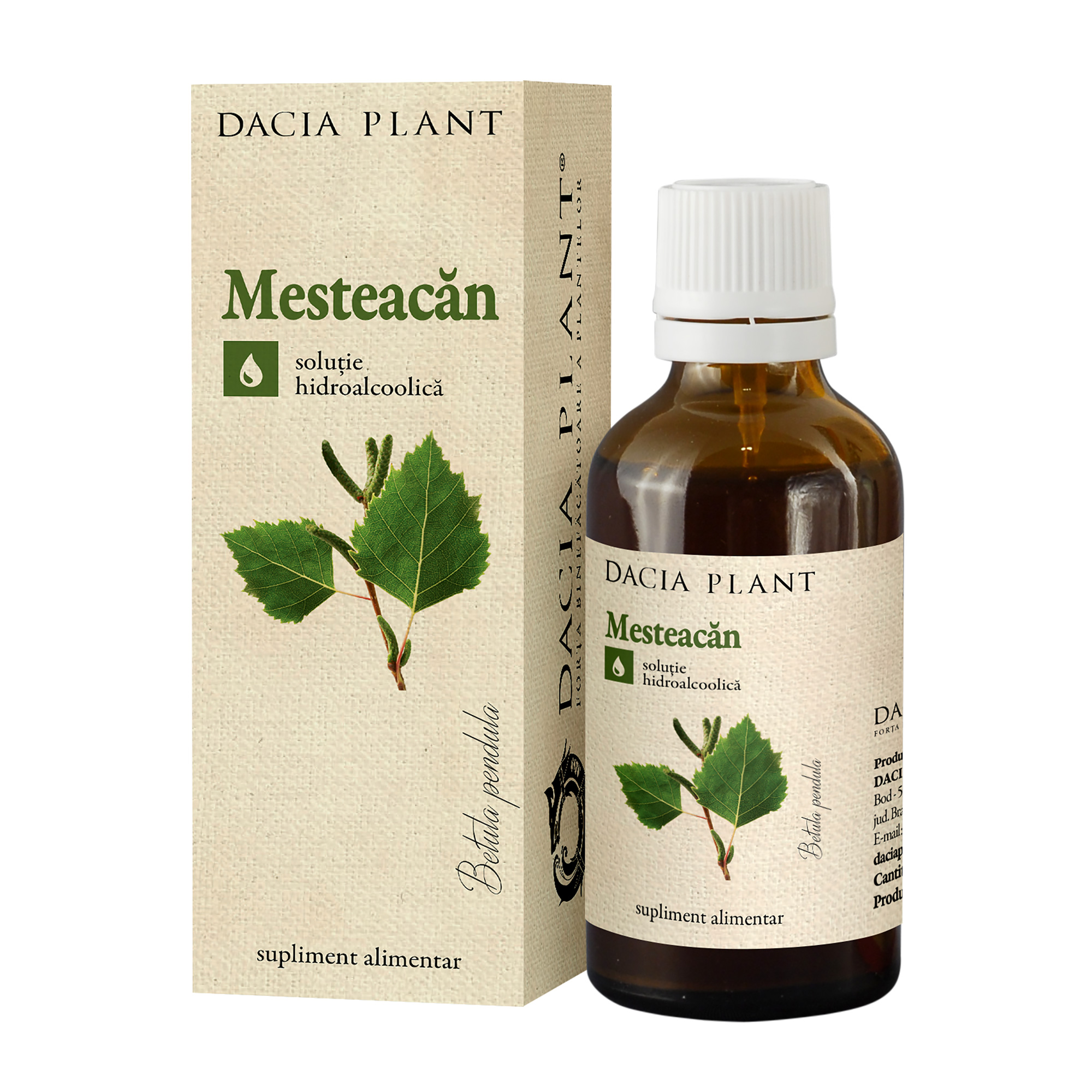 Extracte, tincturi - Tinctura de Mesteacan, 50 ml, Dacia Plant, nordpharm.ro