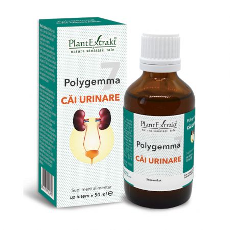 Extracte, tincturi - Polygemma 7 Cai Urinare, 50 ml, Plant Extrakt, nordpharm.ro