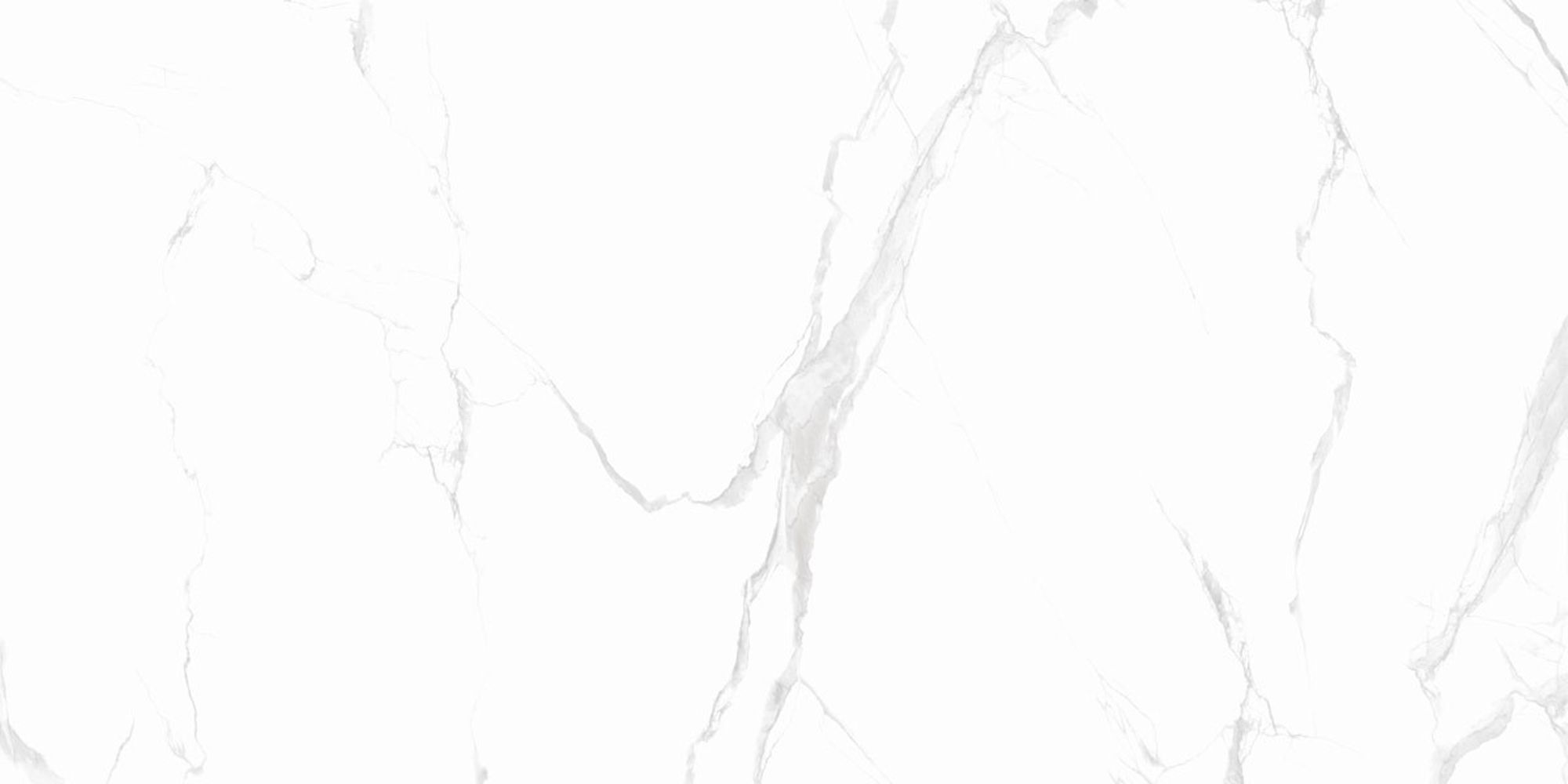 Gresie portelanata, polisata, rectificata, interior / exterior Classic Carrara 60 x 120
