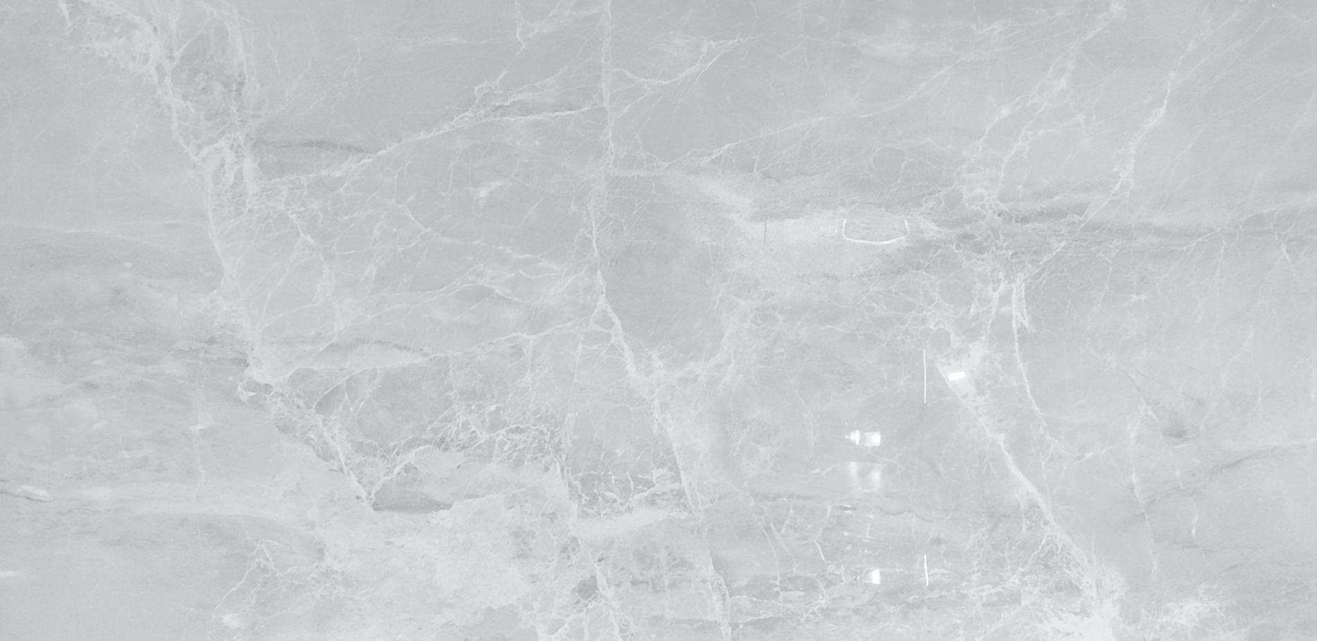 Gresie portelanata, polisata, rectificata, pentru interior sau exterior, American Silver, dimensiune 80 x 160 cm