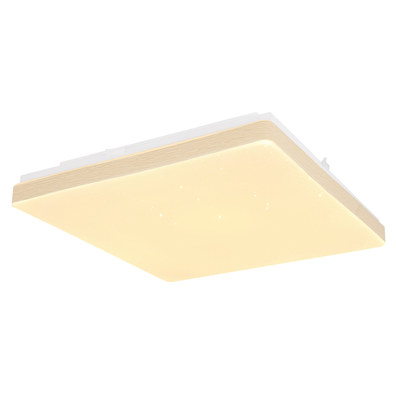 Plafoniera LED Raina 48296W, 330 x 330 mm, putere 12 W