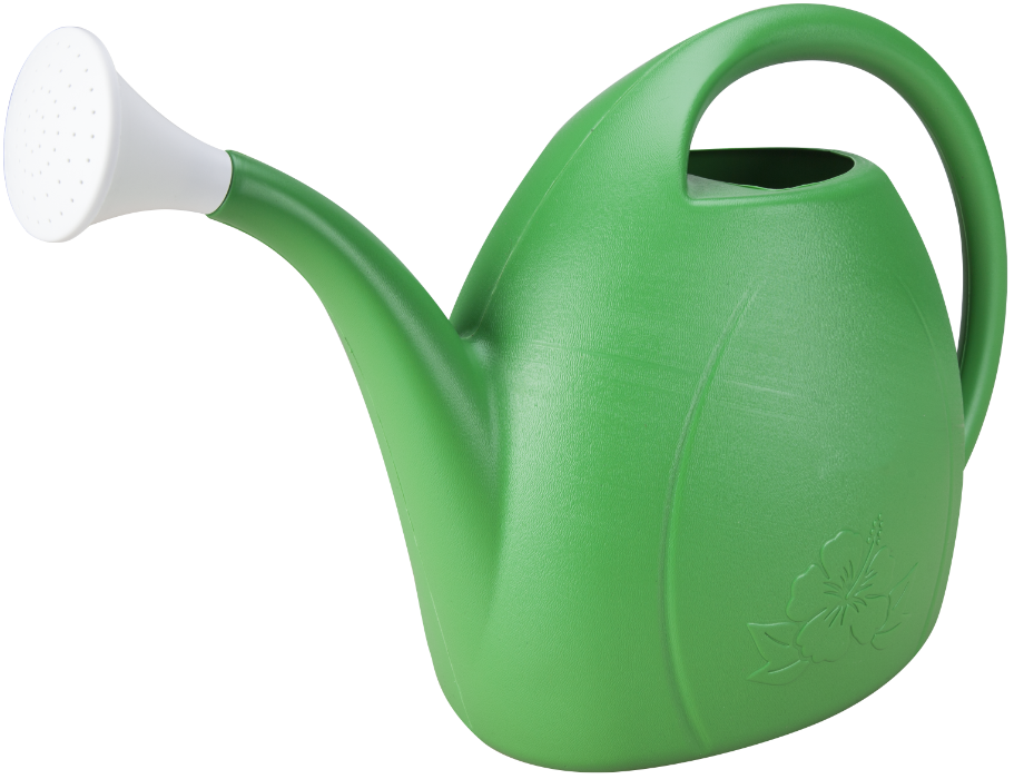 Produse de intretinere - Stropitoare Honest 681267, capacitate 3 L, culoare verde, olint.ro