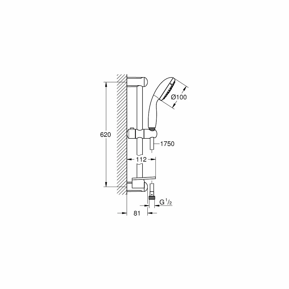 Set de dus Grohe New Tempesta 100, 3 functii, cu bara si etajera EasyReach