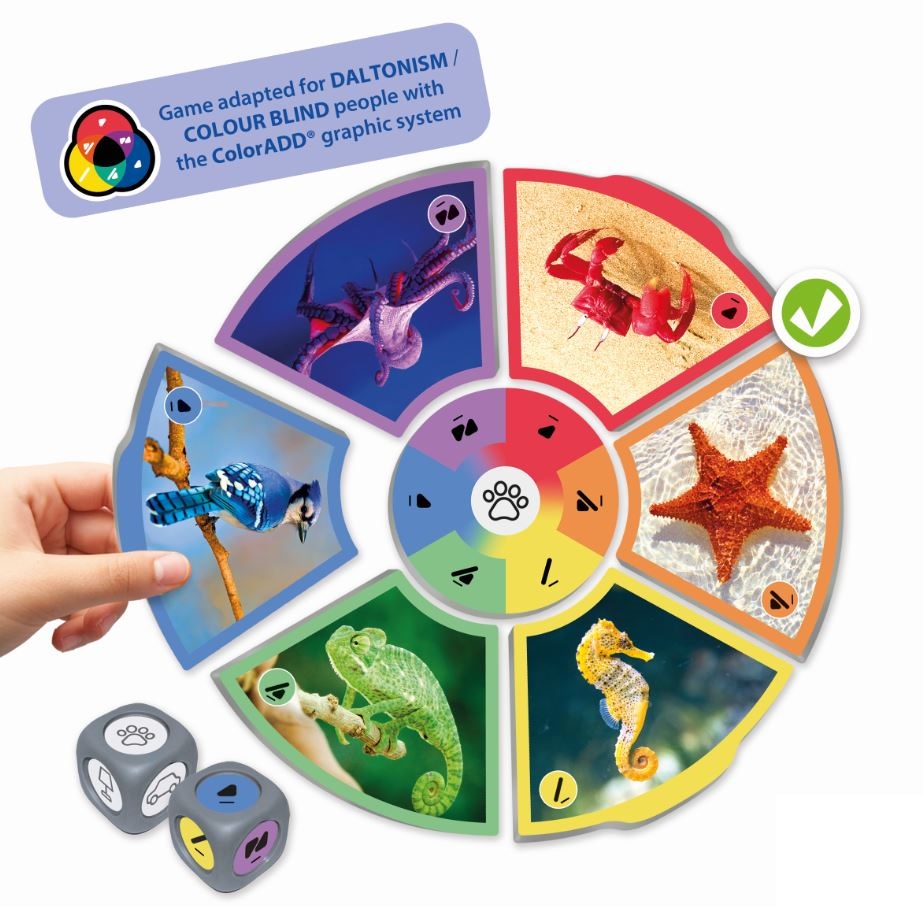 Jocuri de asociere Joc asociere culori primare si secundare 150151