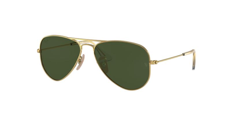 Ray-Ban RJ9506S 223/2P