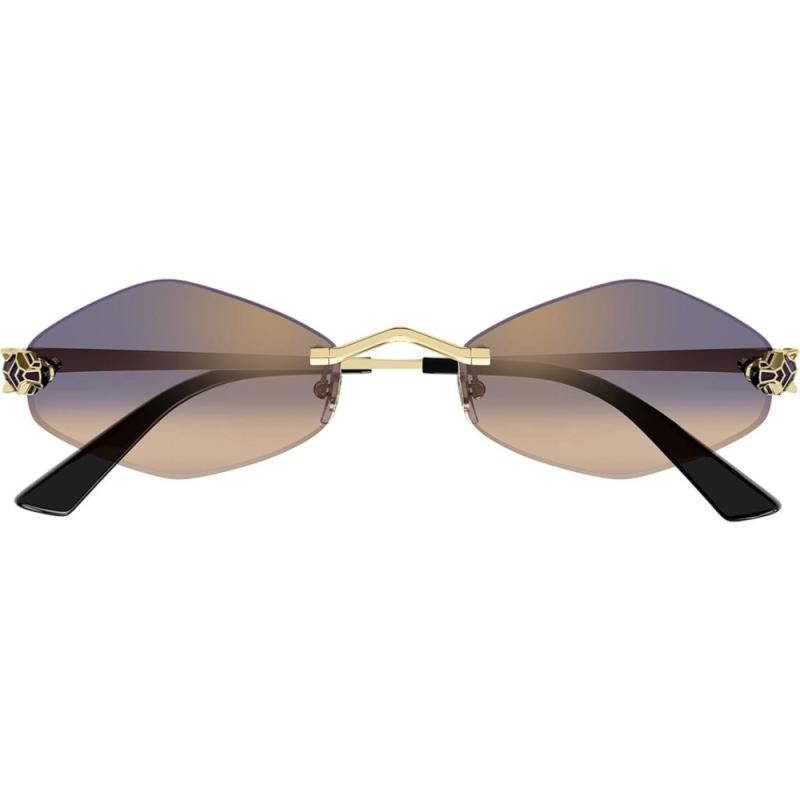 Cartier CT0433S 005 55