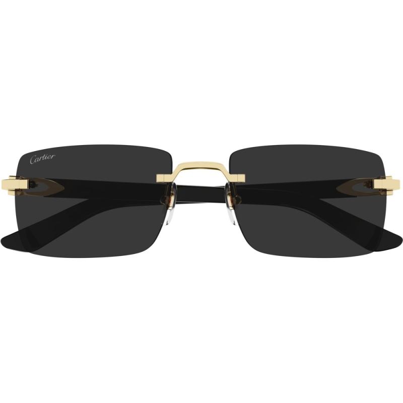 Cartier CT0579S 005 57