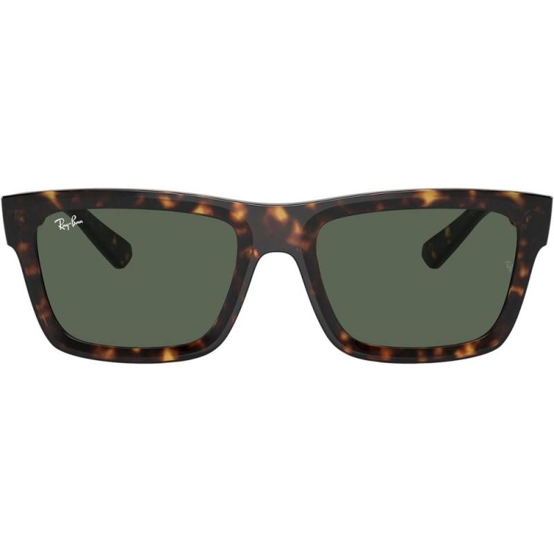 Ochelari de soare unisex Ray-Ban RB4396 1359/71 Warren