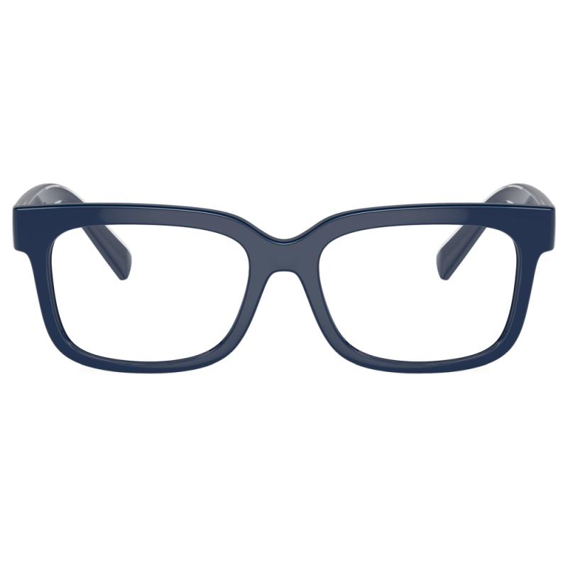 Dolce&Gabbana DX5002 3094 47