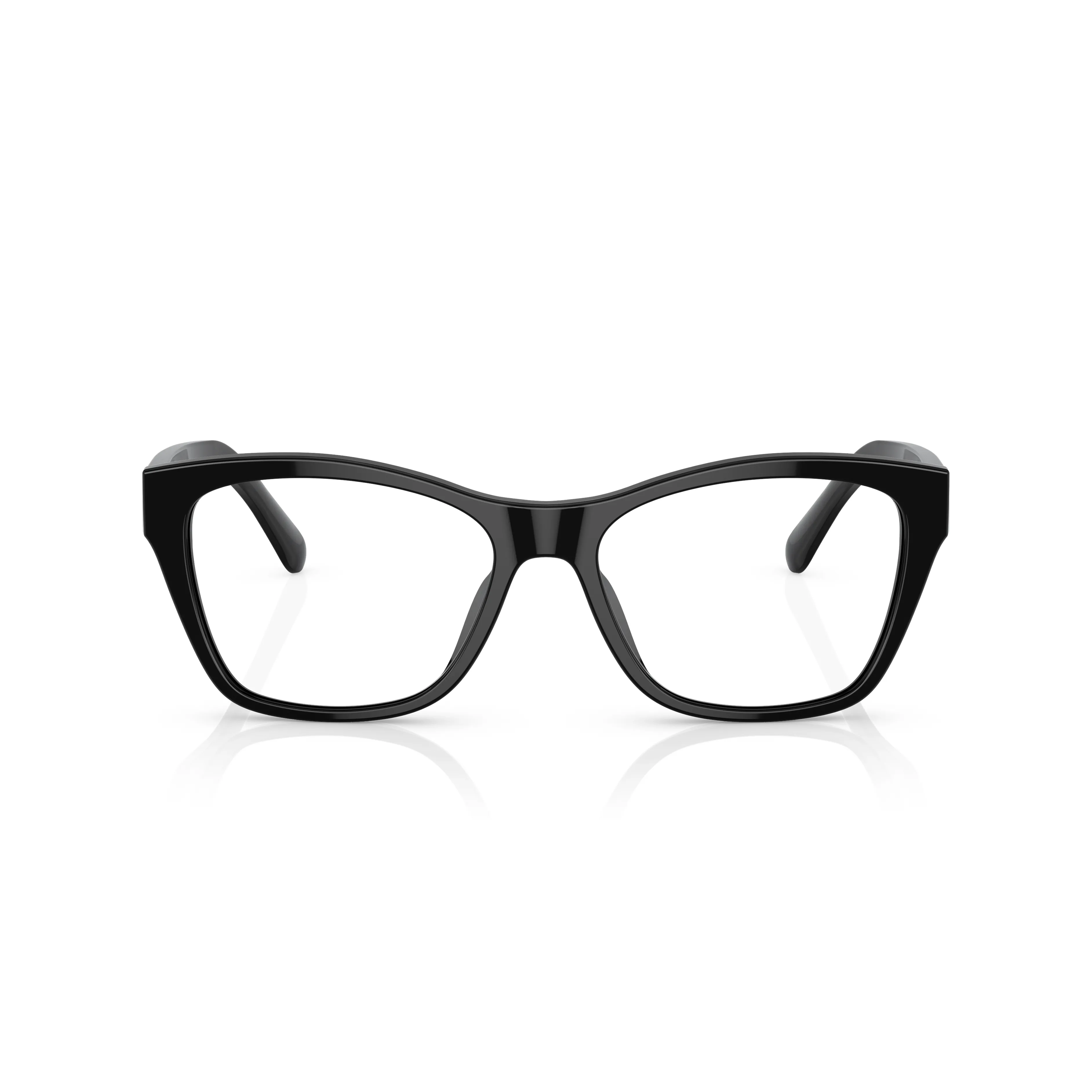 Ralph Lauren RL6230U 5001 53