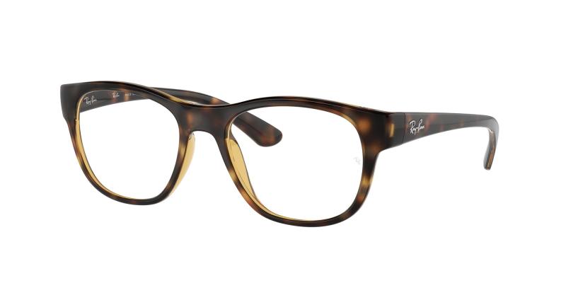 Ray-Ban RX7191 2012