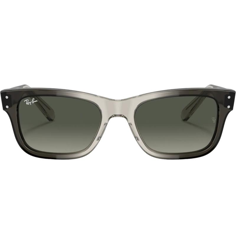 Ochelari de soare barbati Ray-Ban RB2283 134071 Mr Burbank