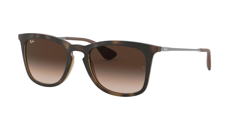 Ray-Ban RB4221 865/13