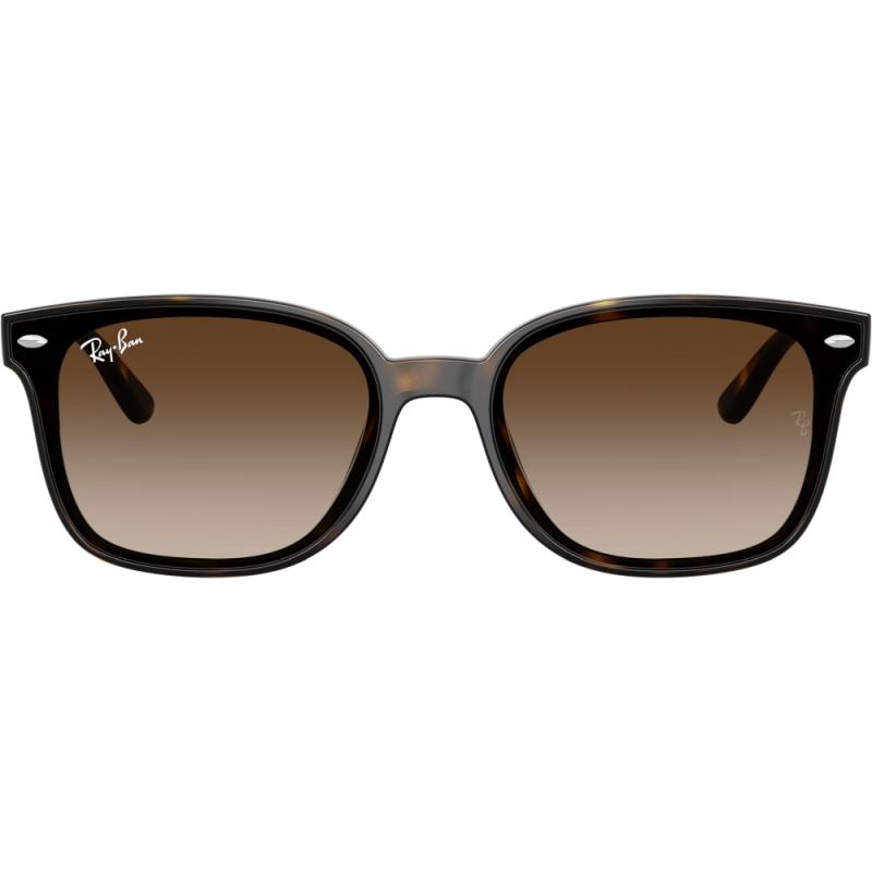 Ray-Ban Ochelari de soare unisex ray-ban rb4461d 710/13 64