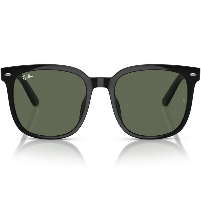 Ray-Ban RB4401D 601/71