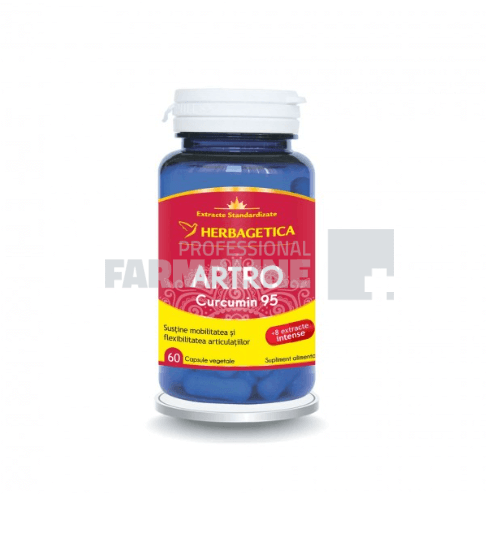 Artro Curcumin 95 60 capsule