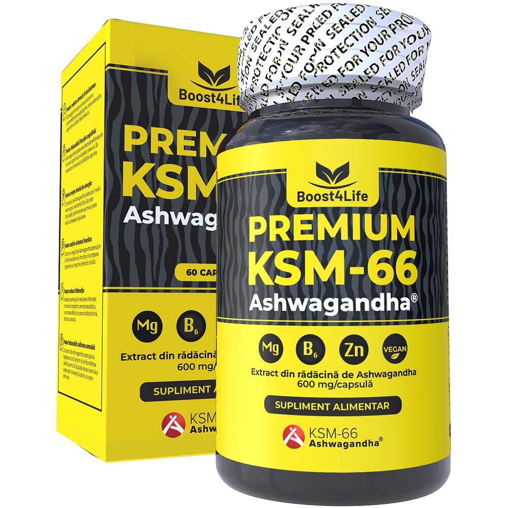 Ashwagandha KSM-66 Premium  60 capsule