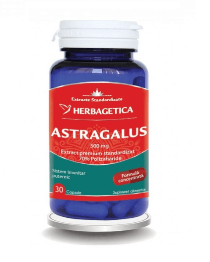 Astragalus 500 mg 30 capsule