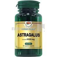 Astragalus 9000 mg 60  capsule + Astragalus 9000 mg 30 capsule Cadou