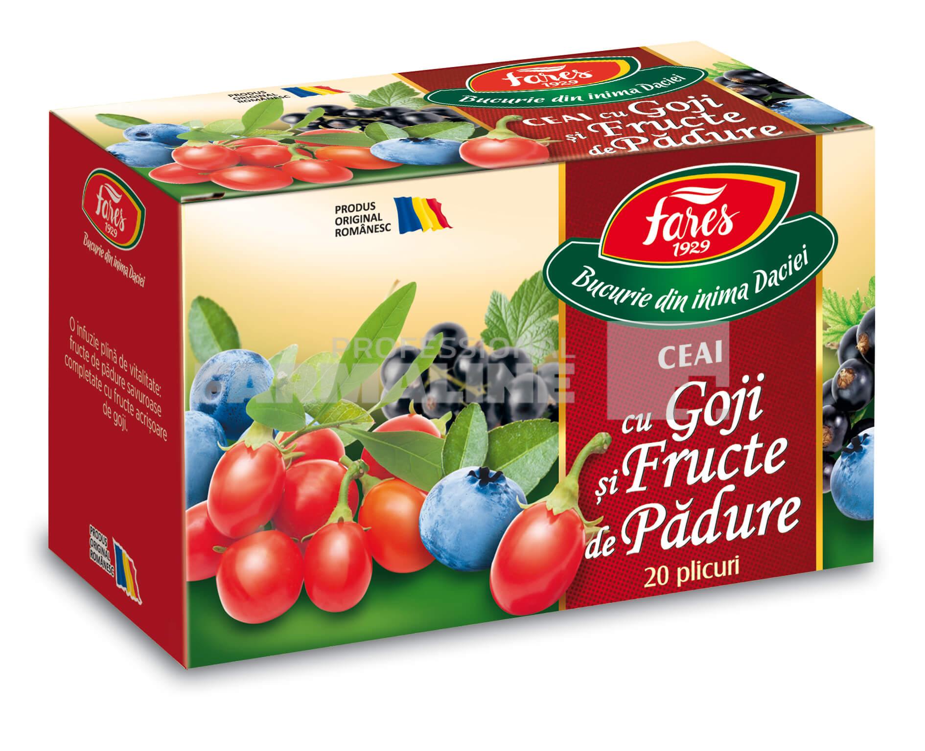 Ceai Goji si Fructe de padure - A20 plicuri