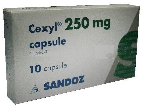 CEXYL 250 mg x 10 CAPS. 250mg SANDOZ S.R.L.