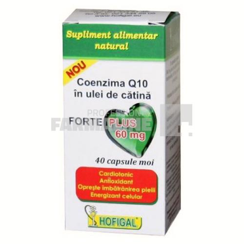 Coenzima Q10 in ulei de catina Forte Plus 60mg 40 capsule