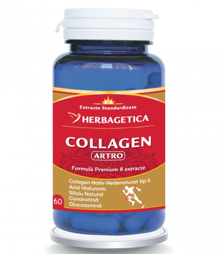 Collagen artro 60 capsule