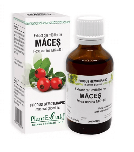 Extract din mladite de Maces 50 ml