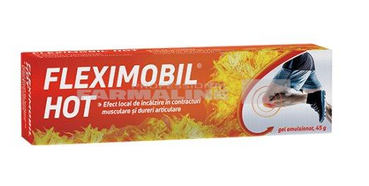 Fleximobil Aktiv, 60 capsule, Fiterman Pharma : Bebe Tei