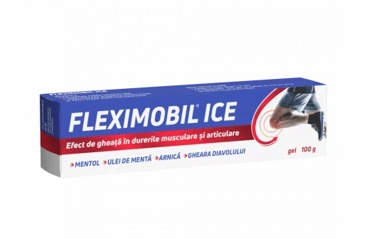 Fleximobil Ice Gel 100 g