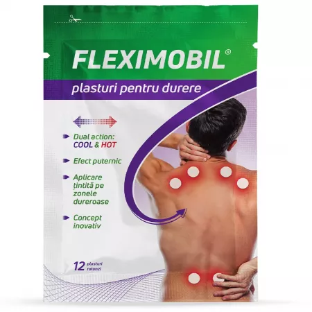 Fleximobil plasturi cu hidrogel pentru durere 12 buc Fiterman